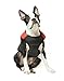 Gooby Padded Vest Dog Jacket - Red, Small - Warm Zip Up Vest Fleece Jacket with Dual D Ring Leash Water Resistant for Small to Medium Dogs