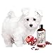 Sofee & Co. Natural Dog Puppy Shampoo - Clean Moisturize Deodorize Detangle Soothe Soften Normal Dry Itchy Flaky Allergy Sensitive Skin. Prevent Mattes. 16 oz (Pomegranate)