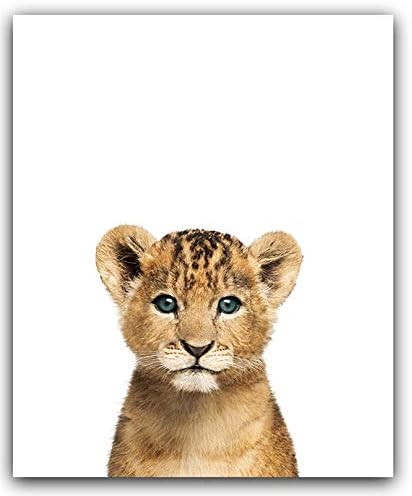 Amazon Com Designs By Maria Inc Safari Baby Animals Nursery