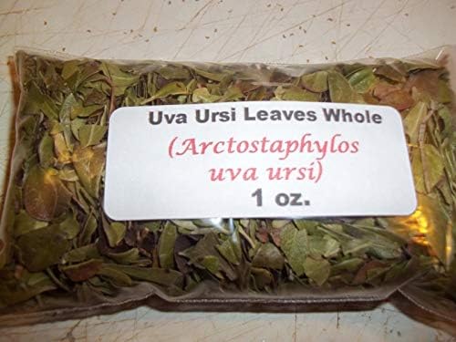 New 1 oz. Uva Ursi Leaf Whole (Arctostaphylos uva Ursi)
