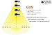 Bobcat LED Area Light 60 Watts Dusk to Dawn Photocell Included, 5000K Daylight, 6600LM, Perfect Yard Light or Barn Light, UL Listed & DLC, 550W Incandescent or 150W HID Equivalent, 5-Year Warranty