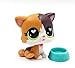 LPSOLD LPS Shorthair Cat 5 Heart Eyes Kitty Kitten with Accessories Action Cartoon Figure Collection Boy Girl Kid Gift (lps cat 5)