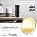 Wake Up Light Alarm Clock, Burbupps Kids Night Light Compatible with Alexa & Google Home, 7 Colored Sunrise Simulation and Sunset Fading, Dual Alarm Clock with FM Radio, USB Charge Port