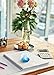 The Paragon Handmade Flower Paperweight Glass Office Decor, Flower Themed Collectible, 2½ (Purple)