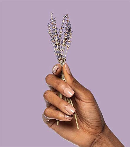 POO-POURRI LAVENDER VANILLA COLLECTION INCLUDES 16 OUNCE REFILL, 4 OUNCE, 2 OUNCE, 1.4 OUNCE, 10ML AND SECRET SANTA TRAVEL SIZE SPRITZER