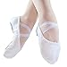 Danzcue Adult Canvas/Leather Ballet Shoes Split Sole Ballet Slippers for Women Dance Shoes, White, 8.5M