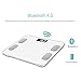 Amerzam Smart Scale,Bluetooth Body Scale Bathroom Scale Wireless Body Fat Scale with iOS and Android App to Manage Body Weight, Body Fat, Water, Muscle Mass, BMI, BMR, Bone Mass