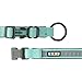 Pawtitas Lumberjack Padded Martingale Collar for Dogs | Soft Neoprene Dog Collar for Your pet's Comfort Made with Reflective Band for Maximum Visibility | Fits Small and Large Pets - Medium Teal