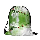 Drawstring Pocke fresh morning dew and ladybirds