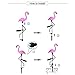 Elumaxon Flamingo Lawn Lamp - Garden Decor Solar Lights, Solar Flamingo Lights, Outdoor Decorative Stak, Solar Pink Flamingo Yard Ornaments (Pink)