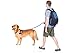 Collapsible Travel Pet Bowl 2 Pack for Water and Food, Set of 2 Portable Dog or Cat Bowls by Dog-Gone Dish