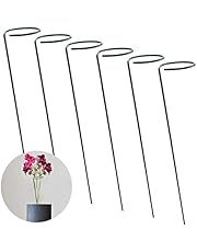 Amazon.es: Soportes para plantas: Jardín