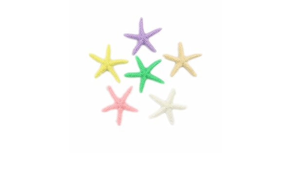 huayoung Pack de 6 colores estrella de mar serie imanes para ...