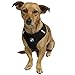 OxGord Pet Control Harness for Dog & Cat Easy Soft Walking Collar, X-Large, Purple