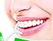 VNDEFUL 100Pcs(5 Packets ) White Dental Floss Picks Toothpicks Stick Oral Care