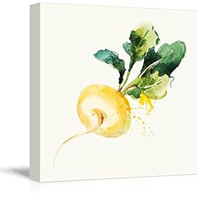 Square Canvas Wall Art - Turnip Watercolor | Fruits Watercolor Art and Illustrations - Giclee Print Gallery Wrap Modern Home Art Ready to Hang - 12x12 inches