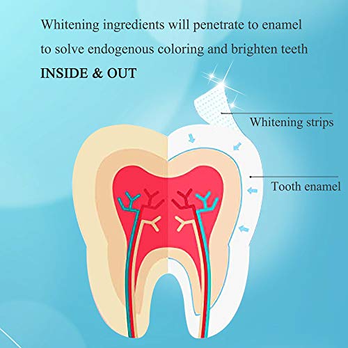 Teeth Whitening Strips, Professional Whitening Strips Kit with 3D Non-Slip Dental Teeth Whitener, Removes Stains & Freshens Breath with Coconut Oil, 14 Sets, 28 White Strips - Thumbnail 5