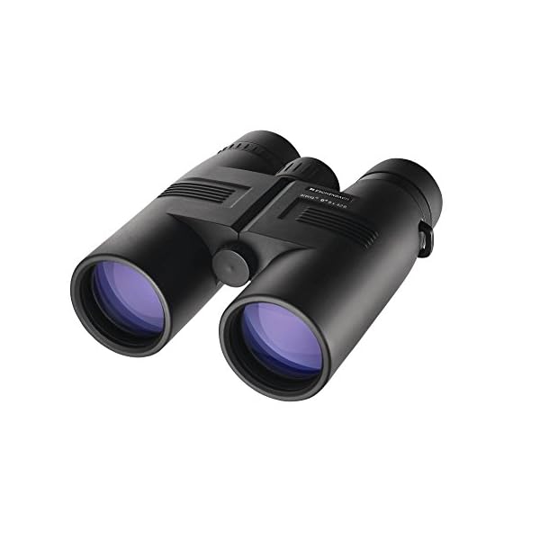 ESCHENBACH Optik 8x42 Arena D+ wetterfestes Fernglas - handliches Einstiegsmodell für Wanderungen, Vogelbeobachtungen, Veranstaltungen – Bild 4