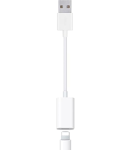 Amazon.com: LecLooc USB A to Lightning Audio Adapter Cable USB 3.0