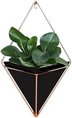 Trigg Hanging Planter Vase & Geometric Wall Decor Container - Great for Succulent Plants, Air Plant, Mini Cactus, Faux Plants and More, Concrete Resin/Copper - Large/Small/Black/White