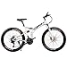 Ibiky 26 Inch Folding Full Suspension 21 Speed MTB Shimano Gear Mountain Bike Steel Frame Dual Disc Brake (White Grey)thumb 1