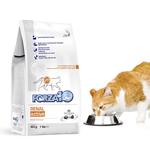 Forza10 Active Kidney Renal Cat Food for Adult Cats, Kidney Cat Food