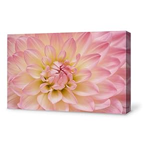 Canvas Wall Art for Living Room,Bedroom Home Artwork Paintings Close-up of Flower Ready to Hang - 12x18 inches