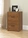 Ameriwood Home Core 2 Drawer File Cabinet, Bank Adler