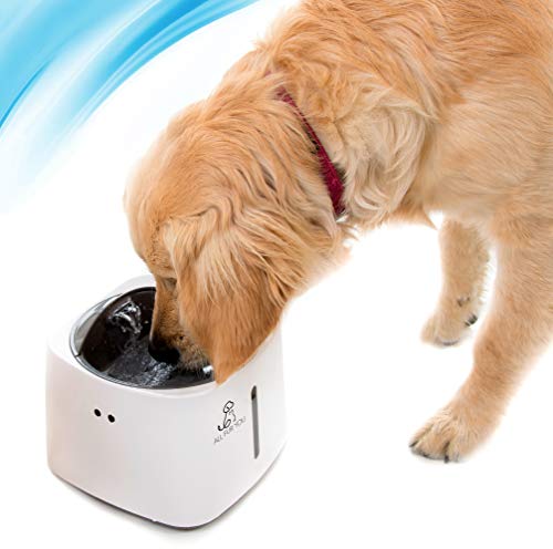 dog water filter system