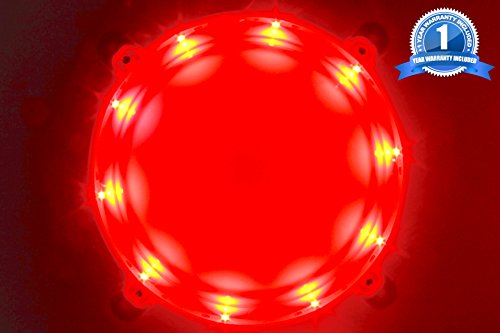 Cornhole LED Board Lights so You Can Play at Night! (set of 2) -Choose from White or Blue- 1 Year Replacement Warranty, Sturdy Build, Lasts 60+ Hours on 2 AA batteries! (Red)