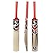 SG Kashmir Willow Cricket Bat Sh Phoenix Xtreme