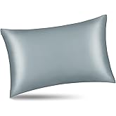 ALASKA BEAR Natural Silk Pillowcase, Hypoallergenic, 19 Momme, 600 Thread Count 100 Percent Mulberry Silk, Queen Size with Hidden Zipper(1, Haze Blue)