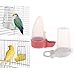 LOVIVER Pet Parrot Food Feeder Automatic Feeding Device Water Dispenser for Pet Bird Pigeon Parrots Cage Accessories – No-Perchthumb 3