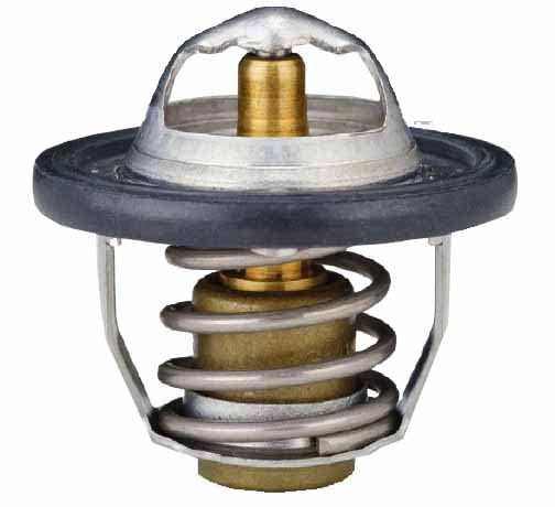 多摩 サーモスタット G/K付きの商品画像