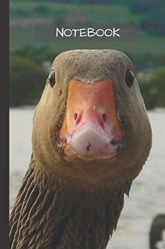 Goose Notebook: Small lined Goose notebook - Travel Journal to write in - 120 pages - 6"x9"
