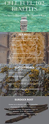image for Red's Kitchen Sink Cell Fuel 102 Sea Moss Capsules: Organic Irish Moss