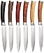 6 Piece Exotic Woods Steak Knives Set Japanese Stainless Steel in Gift Box