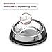 Enhanced Pet Bowl, Stainless Steel Slanted Dog Bowl with Raised Ridge, Food-Grade Non-Slip No Spill Bowl for Dogs, Less Mess, Less Gas, and Better Digestion (Medium)