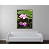 Pink Water Lily Gallery Wrapped Canvas