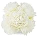 Silk Peony Bouquet 5 Heads Milk White SOLEDI Artificial Fake Flower Bunch Bouquet Bridal Bouquet Wedding Living Room Table Home Garden Decoration