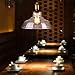 Antique LED Bulb, Oak Leaf 4w ST64 Vintage Edison Light Bulb LED Lighting Soft White 2700K pack of 6