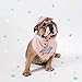 JOYLOADER Dog Birthday Bandana Girl - Dog Birthday Party Supplies - Birthday Girl Dog Bandana - Ideal Birthday Gift Idea for Pet