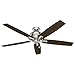 Hunter Indoor Ceiling Fan with LED Light and pull chain control - Donegan 60 inch, Brushed Nickel, 54172