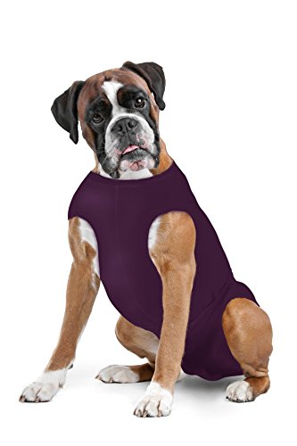 SurgiSnuggly Dog Recovery Suit Dog Cone E Collar Alternative for Dogs Made with American Textile to Protect Your Pet's Wounds The Original Dog Recovery Suit Xtra Large Long Perfect Plum