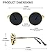 GQUEEN Retro Round Circle Steampunk Sunglasses Polarized Metal Alloy for Women Men MTS1