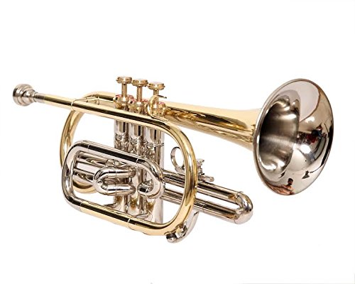 Nasir Ali Co-01, Cornet, Bb, Brass - Thumbnail 5