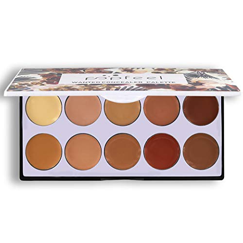 shamrock58 10 Colors Full Coverage Cream Concealing Foundation Concealer Makeup Silky Combination (Multicolor)