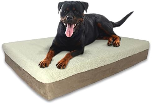 big paws dog bed