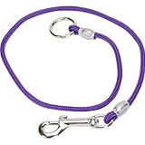 PetEdge Nylon Choker-Style Grooming Loop, 36-Inch, Purple