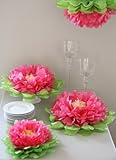 Butterfly Craze Girls Party Decorations - Set of 7 Tissue Paper Flowers … (Pink)